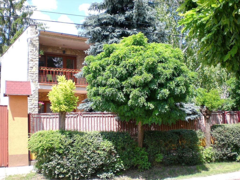 Kurca-Parti Vendeghaz Hotel Сентеш Екстериор снимка