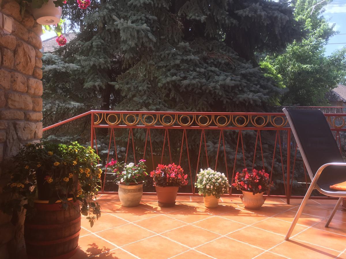 Kurca-Parti Vendeghaz Hotel Сентеш Екстериор снимка